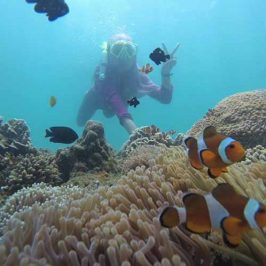 Gili Ketapang Wisata Probolinggo, Tempat Snorkeling Asik dan Murah