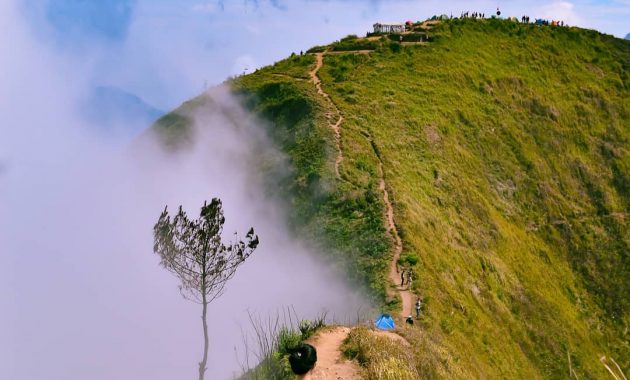 Wisata Magelang Gunung Andong