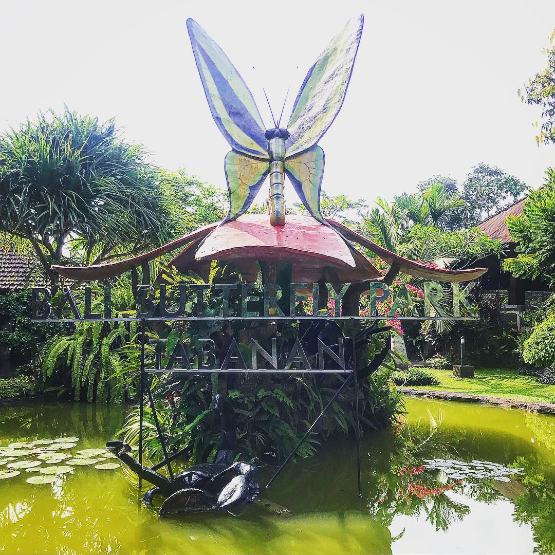 Bali Butterfly Park