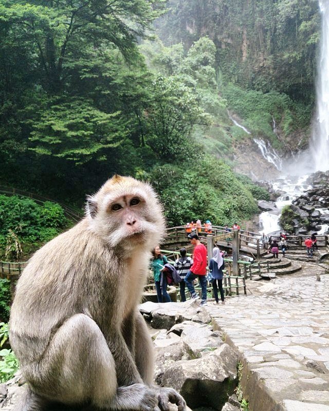 Grojogan Sewu