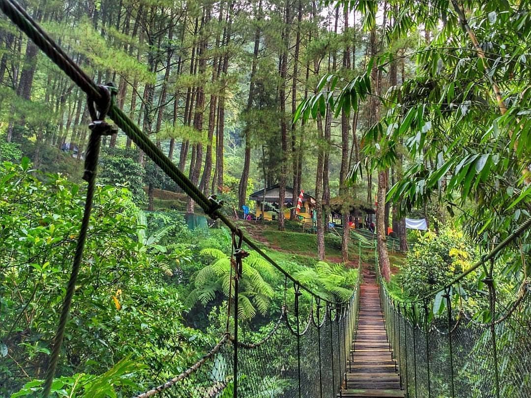 Kebun Raya Bogor 7 Spot Wajib Yang Harus Kamu Kunjungi Di Sana Jalan