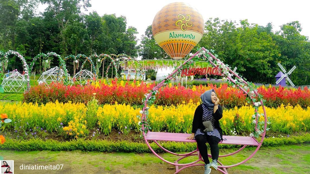 Alamanda Jogja Flower Garden 2019 Spot Foto Unik Rute Dari Jogja Harga Tiket Masuk Dan Jam Buka Tutup