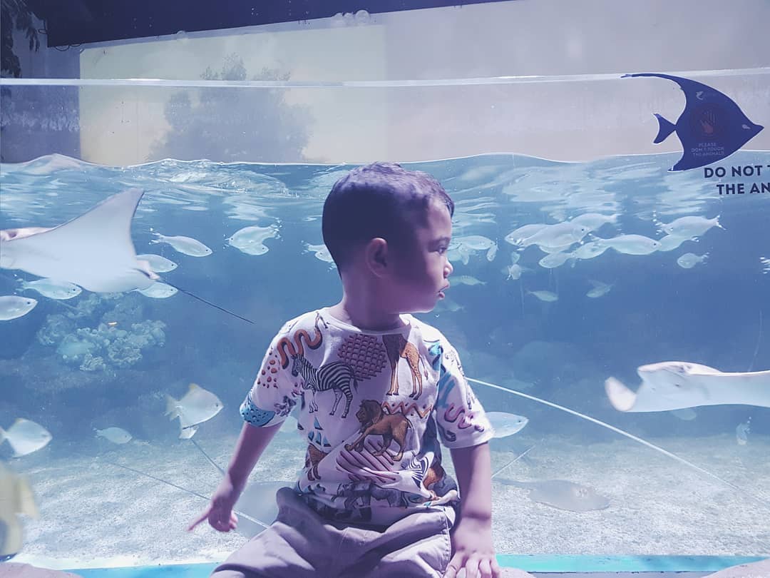 jakarta aquarium anak kecil