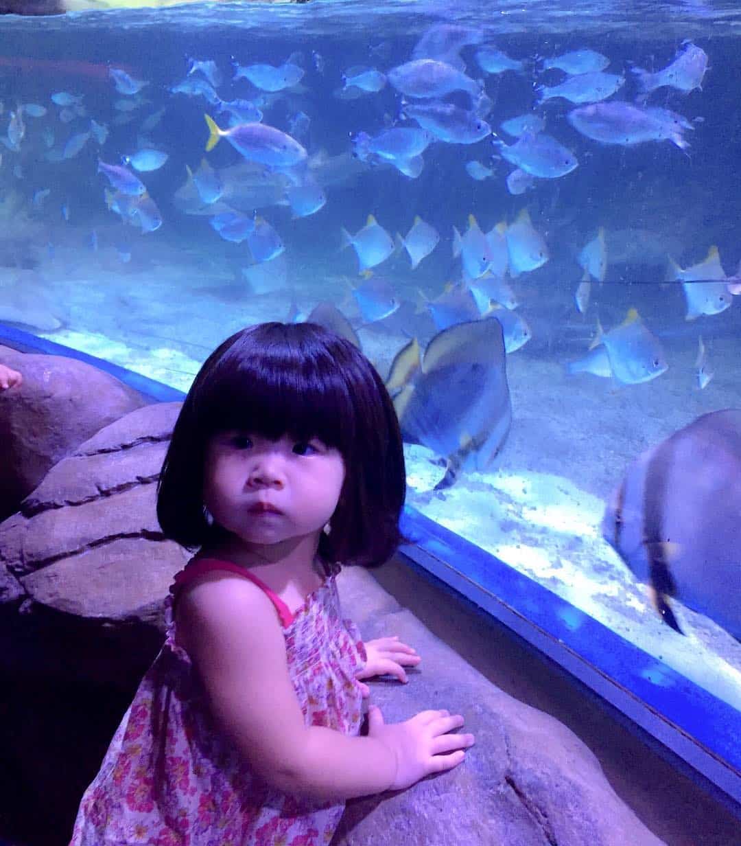 jakarta aquarium anak cewek