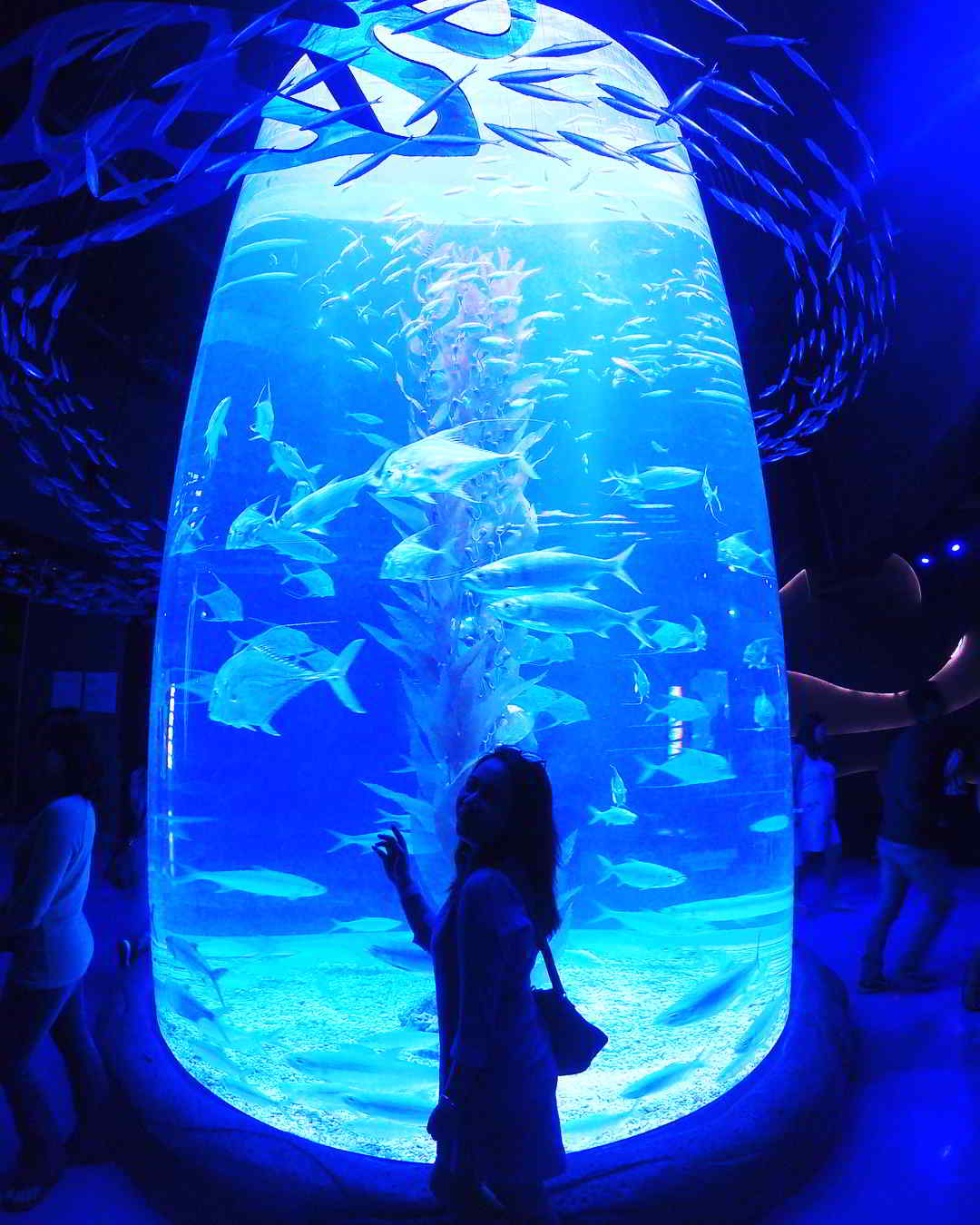 jakarta aquarium gadis cantik