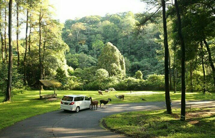 taman safari prigen jam buka