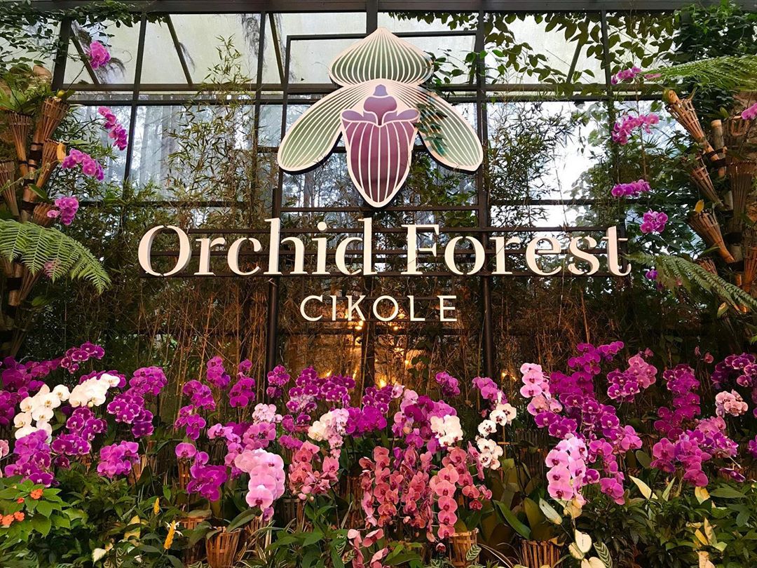 Tiket Masuk Orchid Forest Cikole 2020 Penginapan Dan Alamat