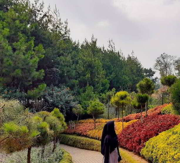 rainbow-garden-taman-bunga