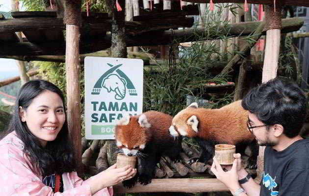 taman-safari-indonesia-safari-journey