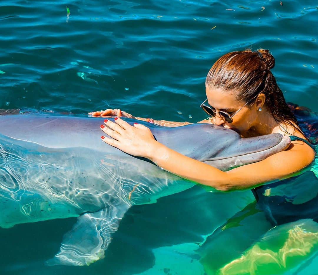 Dolphin Lodge Bali