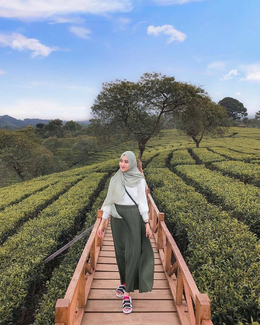 Tiket Masuk Kebun Teh Wonosari Malang 2021, Wisata Dan