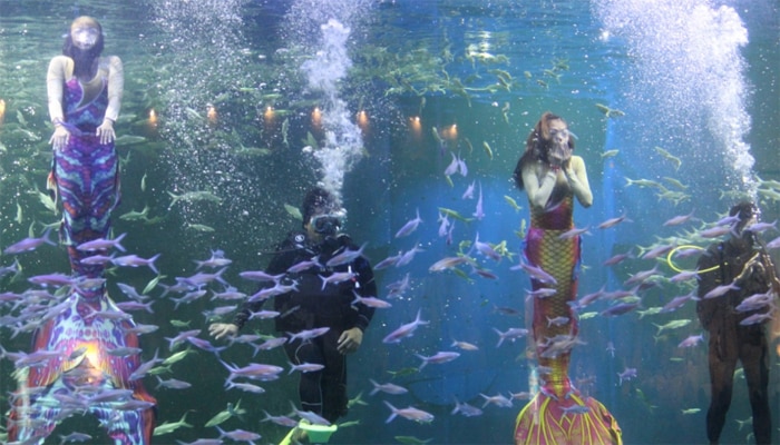 Pertunjukan di Aquarium, Salah satu tempat wisata di Jakarta