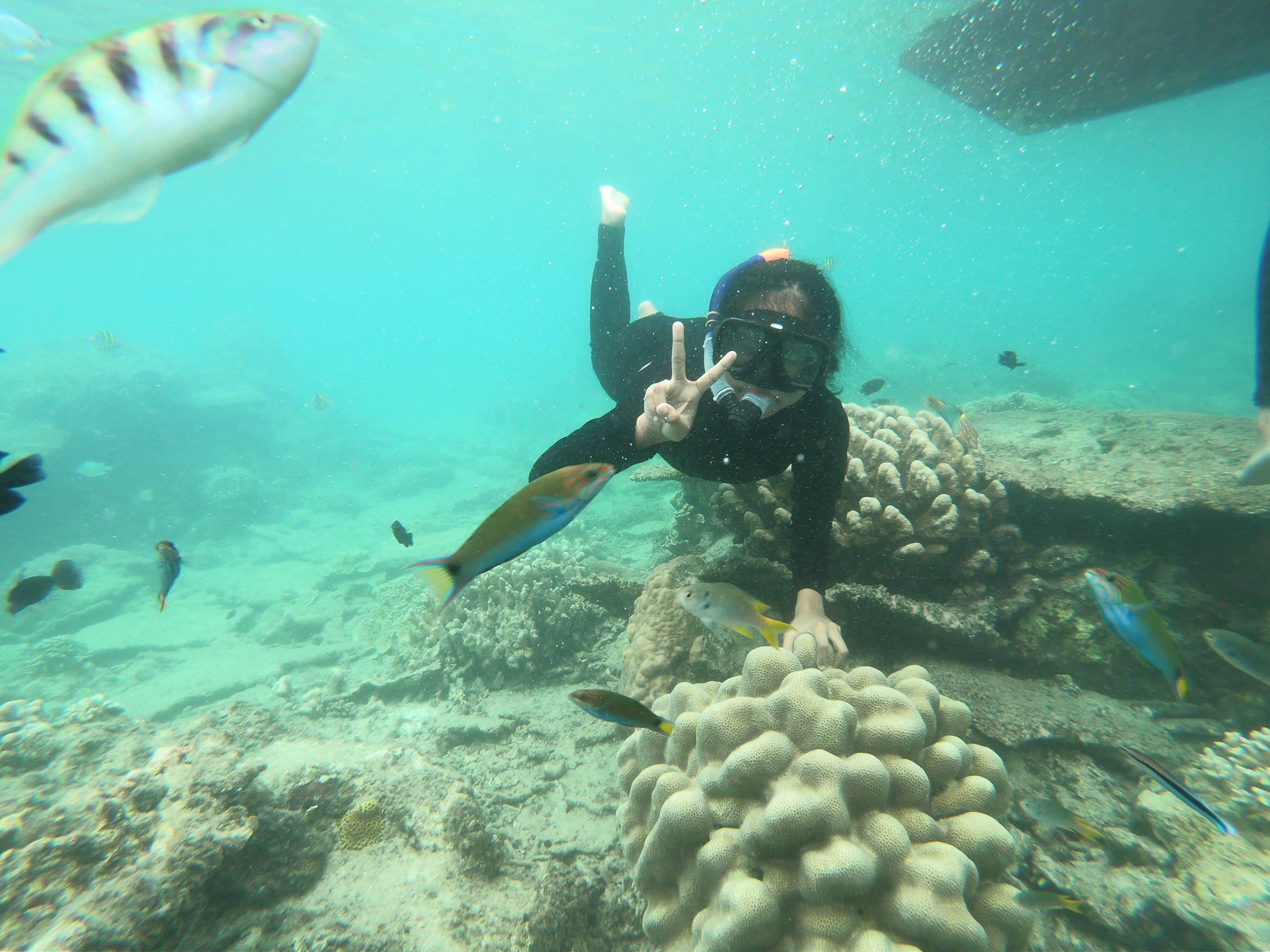 Snorkling Pulau Harapan