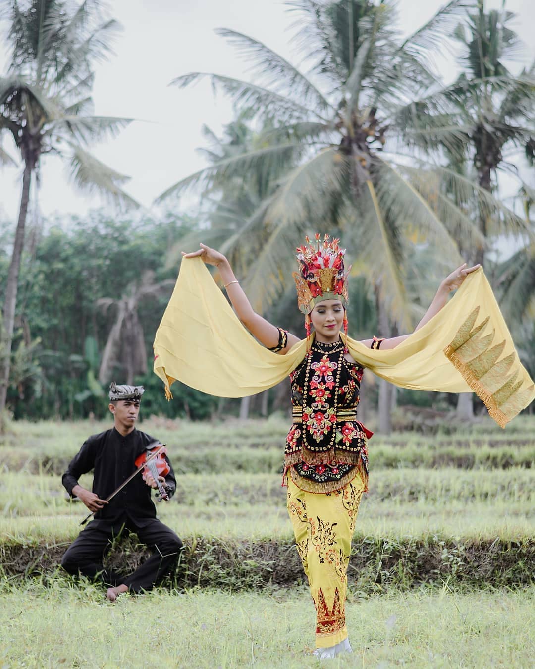 Kebudayaan Suku Osing  Banyuwangi 2022 Tradisi Adat Dan 