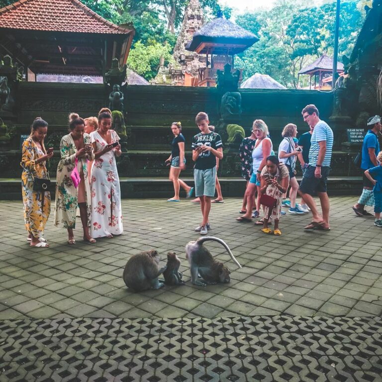 Tiket Masuk Monkey Forest Ubud Keunikan Fasilitas Dan Tips Wisataku