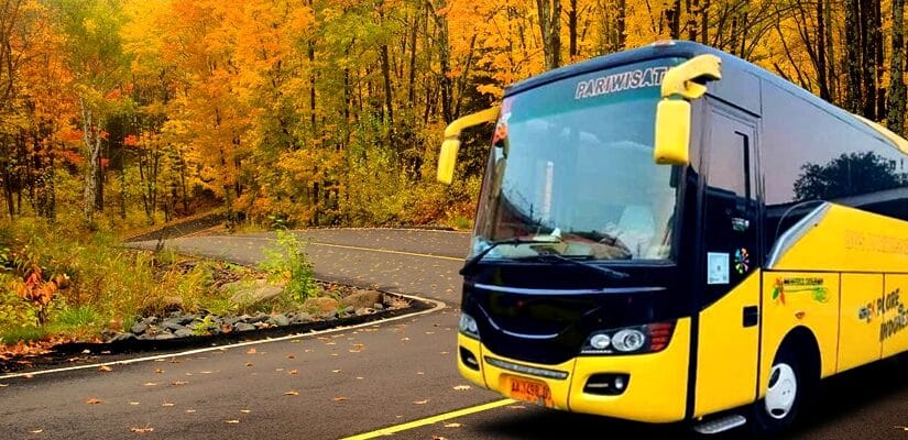 15 Sewa Bus Pariwisata Banyuwangi Dalam & Luar Kota