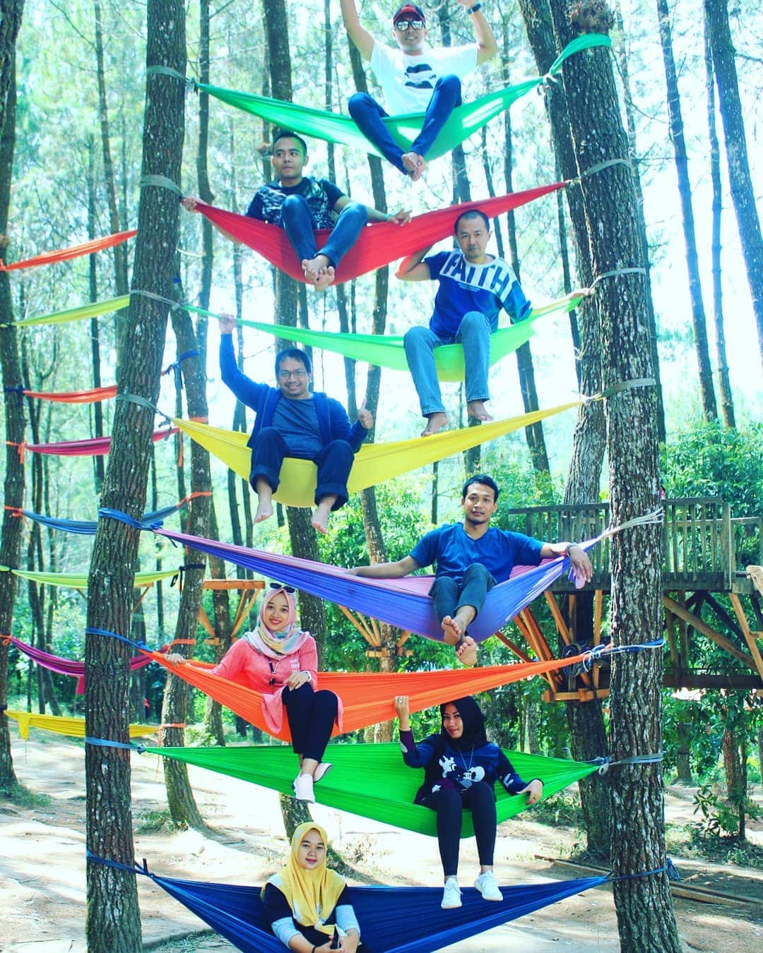 Hutan Pinus Kragilan Magelang 1