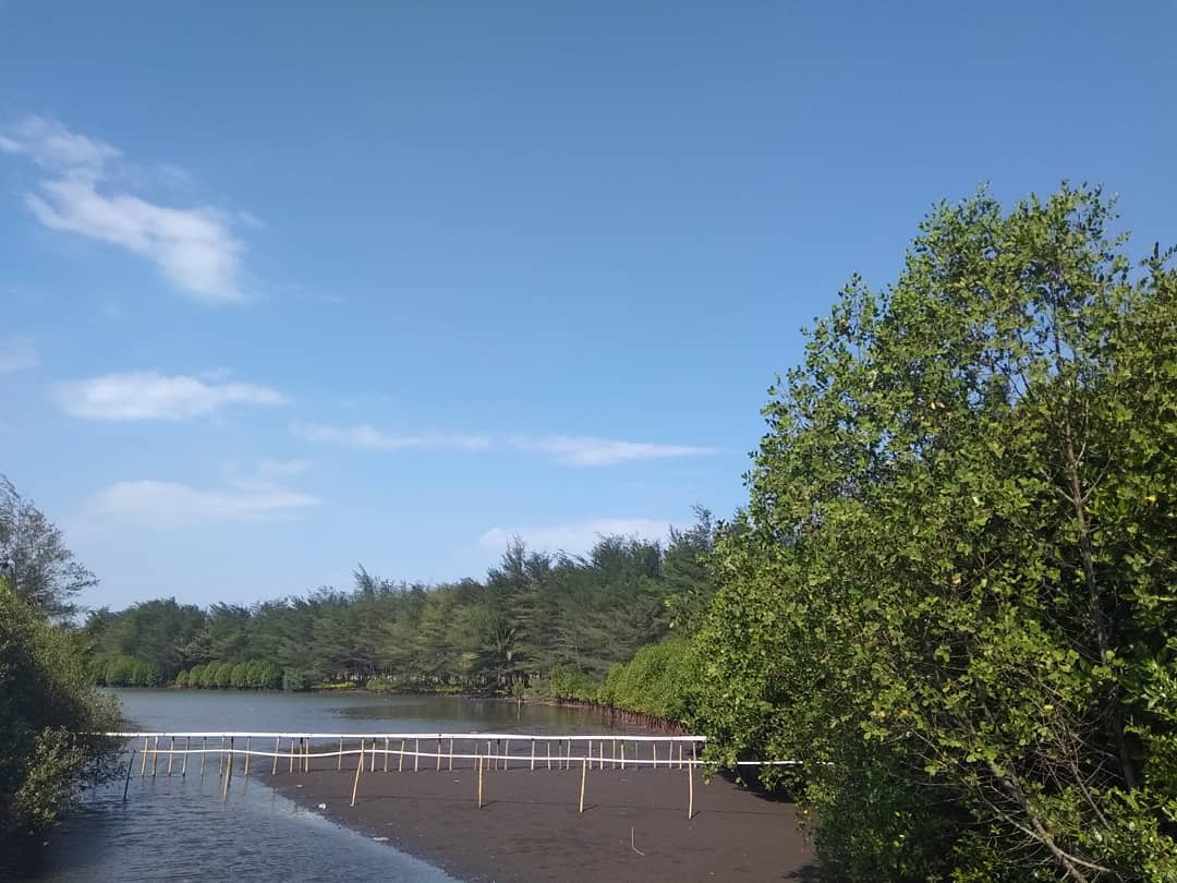 Pantai Laguna Lembupurwo Lokasi Dan Tiket Masuk