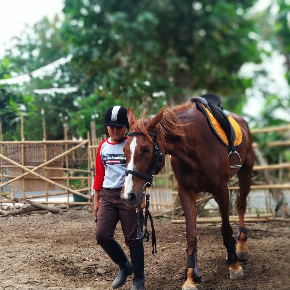 Jogja Horse and Resto (Johnsto) 2