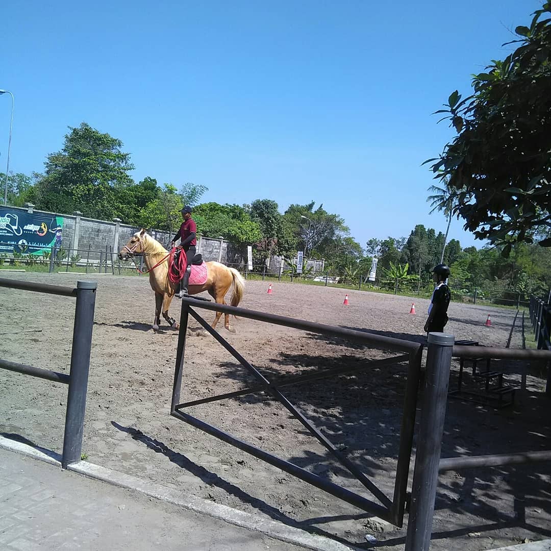 Jogja Horse and Resto (Johnsto) 19