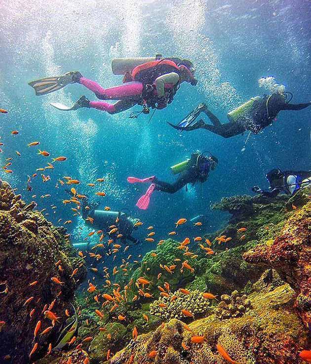 Keindahan Pulau Weh Tempat Diving Terbaik Ujung Barat Indonesia